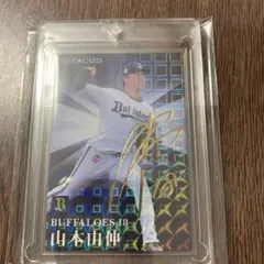 Item thumbnail for item c7a0f79f-c72c-4630-a4c5-dcd4fb592f48