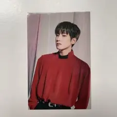 SEVENTEEN ウォヌ WONWOO ラゲッジバック付属トレカ