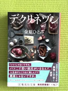 デクリネゾン 金原ひとみ