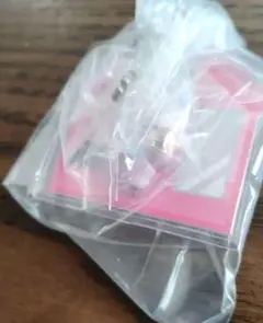 BT21パッケージチャーム　MANG