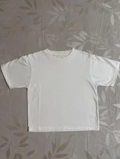 SeaRoomlynn マーセライズコットンドライTシャツ