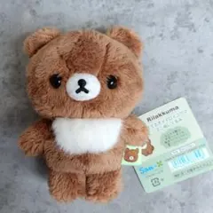 2025年最新】チャイロイコグマの人気アイテム - メルカリ