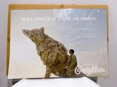 2026年最新】国内アーティスト：米津玄師 ミュージシャン ポスターの