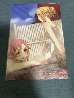 ソードアートオンライン ストーリー B5 下敷き アスナ/リズベット 非売品