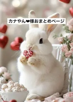 カナやん❤︎様おまとめページ