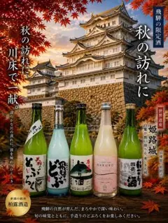 本格焼酎 セット 伊佐美1800ml百年の孤独720ml兼八1800ml 未開栓