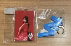 Item thumbnail for item feda0b45-fa62-4d03-8f7b-f4445a5db840