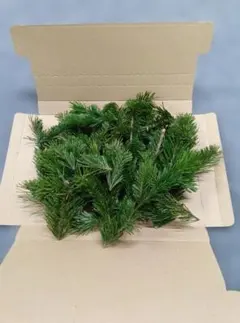 2025年最新】もみの木 枝の人気アイテム - メルカリ