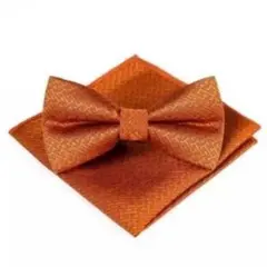 蝶ネクタイ ポケットチーフ２点セット オレンジ 結婚式　セレモニー A55