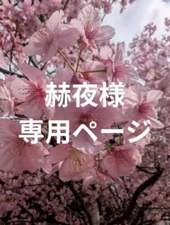 赫夜様専用ページ