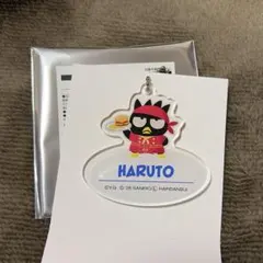 TREASURE ハルト はぴだんぶいカフェ アクキー