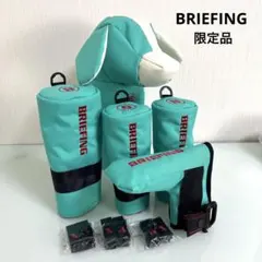 2025年最新】BRIEFing キャディバッグ ミントの人気アイテム