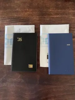 Item thumbnail for item 8f88d09d-36a8-43cf-a3ef-f5ce7aca14ed