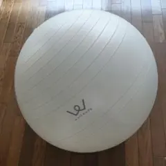 アルインコ/ALINCO エクササイズボール 65㎝のサムネイル