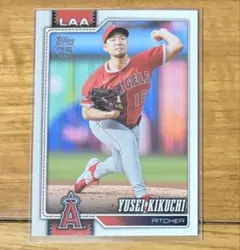 Item thumbnail for item 356a75a6-3845-41fb-bbed-905193f57fee