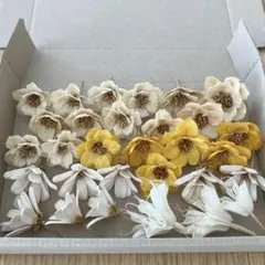 ＜訳あり♡ヘッドのみ＞アネモネフラワー19個、プチフラワー8個　大地農園　花材