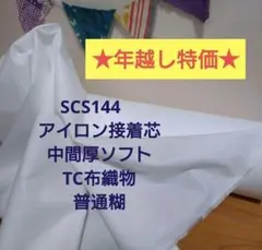 Item thumbnail for item d5a3a0e4-cafd-493f-b1c6-9b493e055e7e