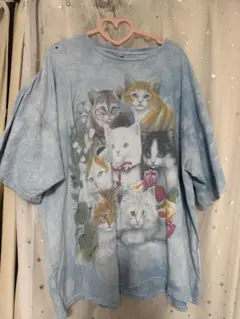 テイラースウィフト着用 THE MOUNTAIN 猫 Tシャツ タイダイ ボロのサムネイル
