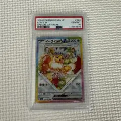 2026年最新】テラスタルフェス イーブイ psa10の人気アイテム - メルカリ