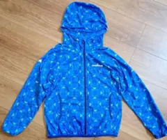 Item thumbnail for item dac0bb08-190a-4b20-932e-c6c2847835c0