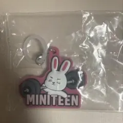 ミニティーンぷっくりめじるしアクセサリー チェチェリ