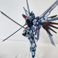HG　マイティーストライクフリーダムガンダム塗装済完成品 2025年最新】HG マイティーストライクフリーダムガンダム 塗装の人気