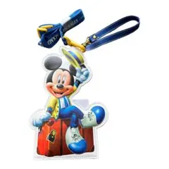 新品未使用　ディズニー　ミッキーマウス　バケーションパッケージ　パスケース