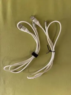 Aioneus USB-A to Lightning ケーブル 約1.0m 2個