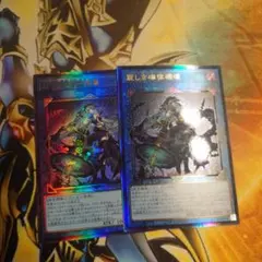 購入検討中様 リクエスト 3点 まとめ商品