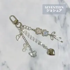 ジョシュア　ペンライトアクセサリー Amazon.co.jp: SEVENTEEN ジョシュア ペンライトアクセサリー