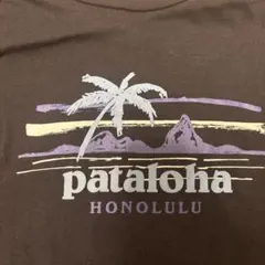 【ハワイ・ハレイワ店限定】パタゴニア pataloha Tシャツ XSサイズ