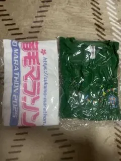 今治シティーマラソン　Tシャツ Lサイズ 緑　宿毛マラソンタオル