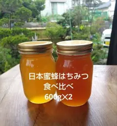 日本蜜蜂 純正ハチミツ 宮崎産 山蜜 400g×3 特割セット - メルカリ