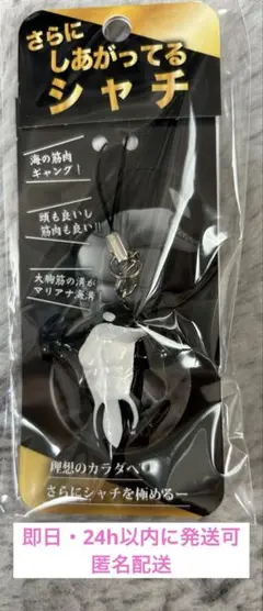 【新品未開封】さらに、しあがってるシャチ　須磨シーワールド　岩本照