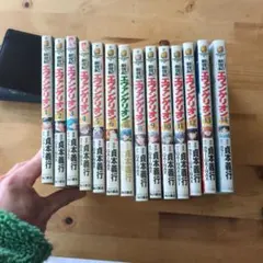 新世紀エヴァンゲリオン　全巻（14巻）