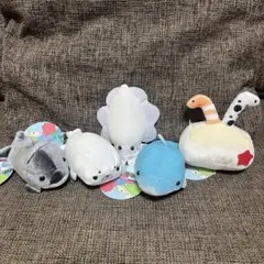わくわくの海 シーアニマルズ ぬいぐるみ 海の生き物 5個セット まとめ売り