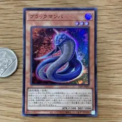 遊戯王　ブラックマンバ　スーパー　1枚