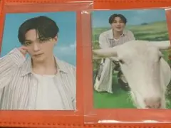 山羊と犬 フォトカ 八木勇征 2枚セット