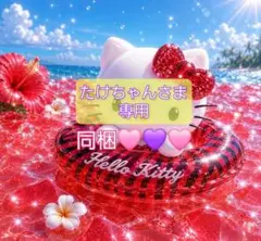 たけちゃんさま 専用