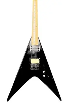 2025年最新】fernandes ネックの人気アイテム - メルカリ