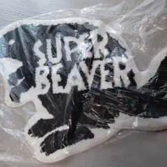 2026年最新】SUPERBEAVERブランケットの人気アイテム - メルカリ