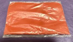 【新品】薄型ポーチ　ストラップ付き　赤