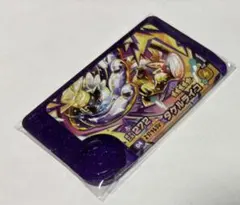 ポケモン　フレンダ　タケルライコ　テラスタル　スーパートレジャー　2
