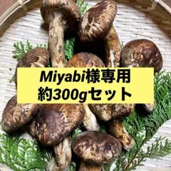 Miyabi様専用　300gセット