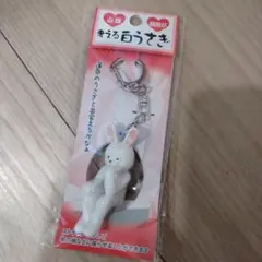 山陰　考える白うさぎ