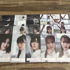 櫻坂46 摩擦係数生写真　森田、山崎、藤吉、田村、守屋
