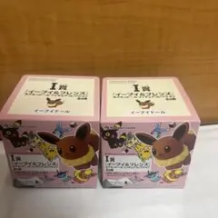ポケットモンスター ポケモンドール イーブイ 2点　わくわくゲットくじ2013