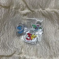 ポケモン30周年 メタルチャームマスコット ピカチュウ　ゼニガメ　フシギバナ