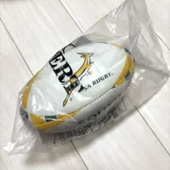 ラグビーボール