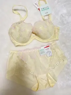 トリンプ 天使のブラ スリムライン 極上ライト442 ブラジャー&ショーツのサムネイル